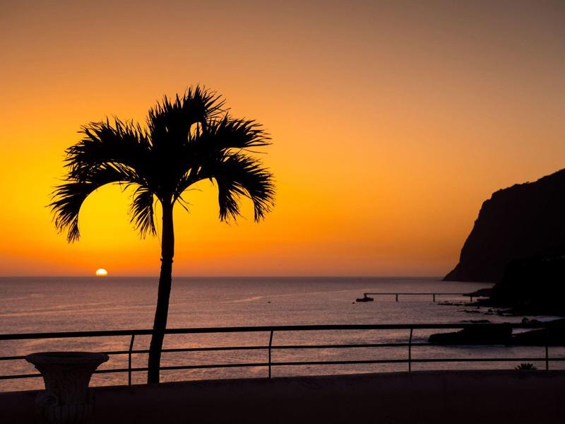 Palme in controluce al tramonto su una spiaggia con una scogliera.