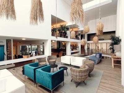 Área de lounge de hotel luminosa con sillones modernos, sofás y decoración natural.