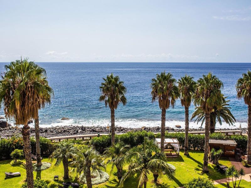 Palmeras verdes frente al mar azul bajo un cielo despejado en la costa.