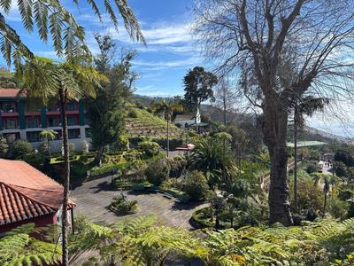 Vue d'un domaine hôtelier tropical avec des palmiers, de la verdure et vue sur la mer.