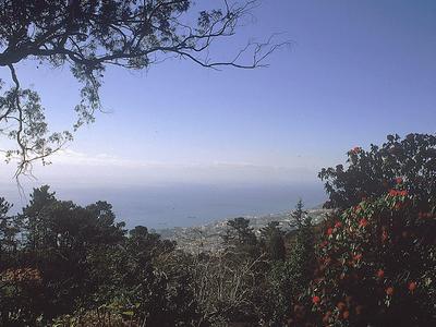 Uitzicht op de oceaan over beboste heuvels bij een heldere hemel.