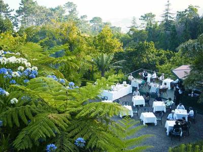 Buitengasten zittend aan gedekte tafels omringd door weelderig groen en bomen.
