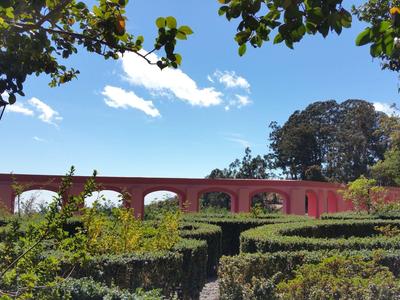 Roter Bogenbrücke vor blauem Himmel, umgeben von grünen Hecken und Bäumen im Park.