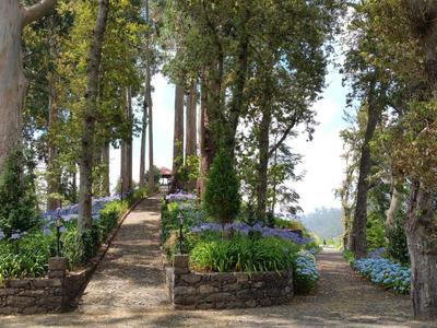 Breiter, mit Steinen eingefasster Weg führt durch Park mit großen Bäumen und blühenden Blumenbeeten.