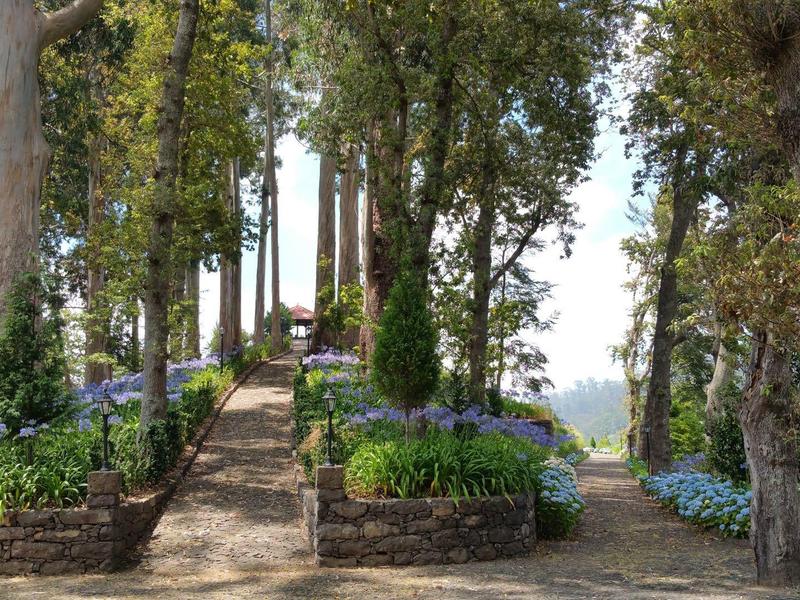 Breiter, mit Steinen eingefasster Weg führt durch Park mit großen Bäumen und blühenden Blumenbeeten.