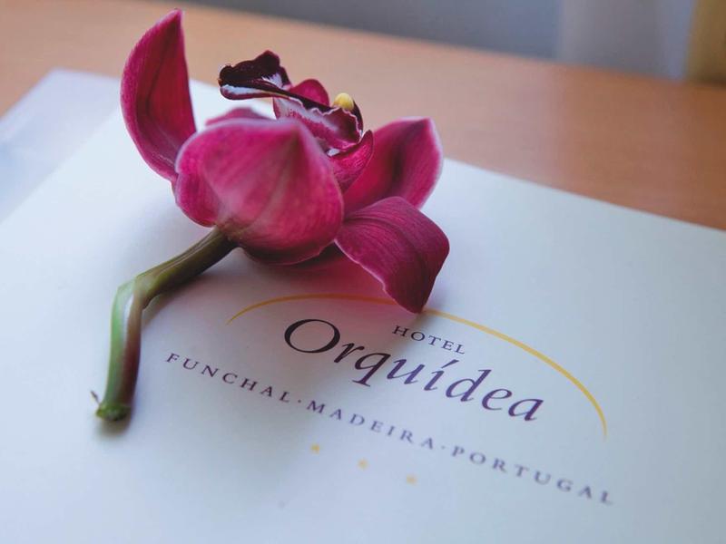 Un fiore di orchidea rossa poggia su un libro intitolato alle orchidee.