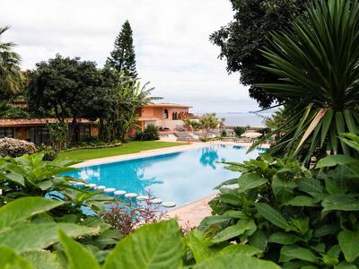 Ein blauer Pool umgeben von grünen Pflanzen und Büschen mit Häusern im Hintergrund.