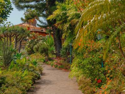 Wybrukowana ścieżka biegnie przez bujny tropikalny ogród z palmami i kolorowymi kwiatami.