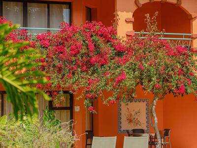 Dom z pomarańczową elewacją, dwoma leżakami i kwitnącymi roślinami pnącymi na przednim podwórku