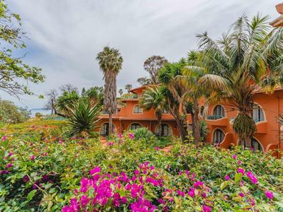 Widok na hotel z pomarańczową elewacją otoczony palmami i kolorowymi kwiatami.