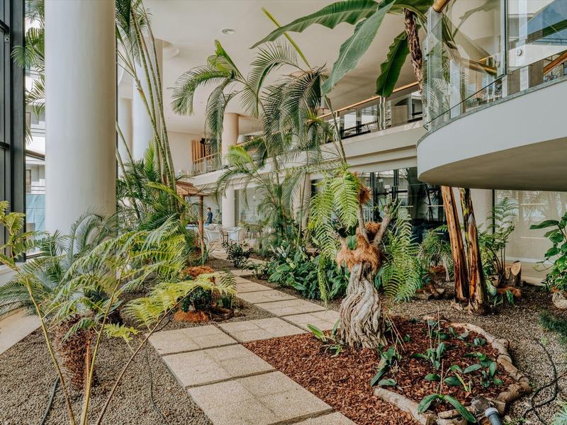 Hotel interior with tropical plants and a path made of square tiles