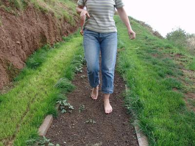 Barfuß gehende Person auf einem schmalen Pfad zwischen grünem Gras und Erde.