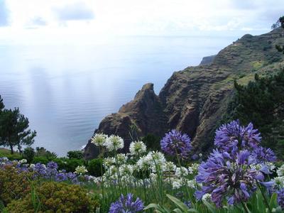 Vista sul mare e scogliere vegetate con fiori viola e bianchi in primo piano.