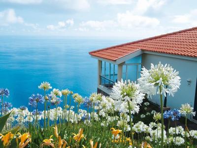 Casa con tetto rosso accanto a fiori bianchi con vista sul mare azzurro.