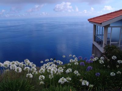 Vista sul mare blu con fiori bianchi e viola e un edificio con tetto rosso.