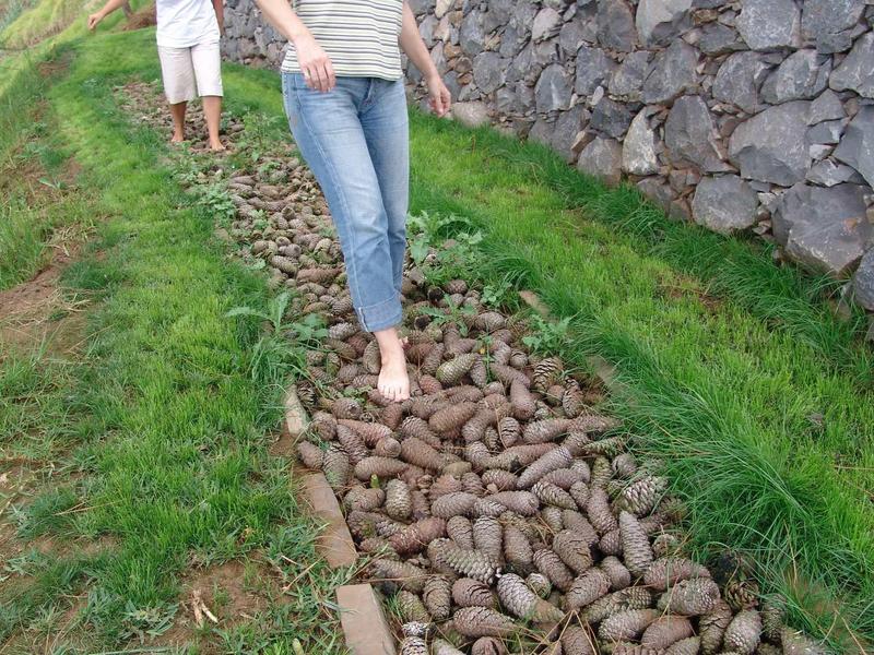 Persone che camminano a piedi nudi su un sentiero di pietre accanto a un muro di pietra all'aperto.