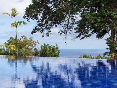 Infinity-Pool mit Blick auf das Meer und umgeben von Palmen und Bäumen.