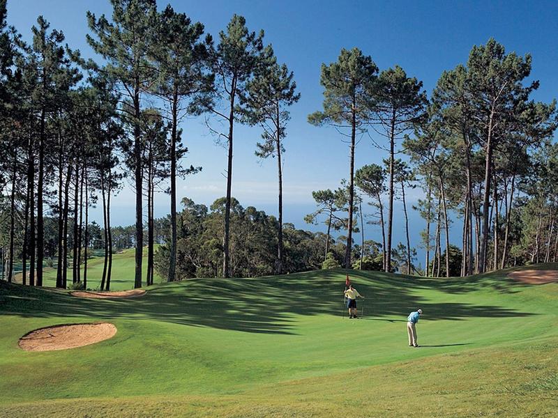 Golf course with players in front of tall trees and blue sky