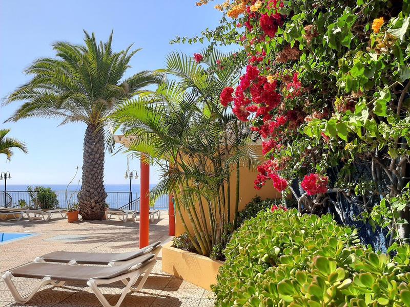 Strefa przy basenie z leżakami, palmami i kwitnącymi roślinami pod czystym niebem nad morzem.