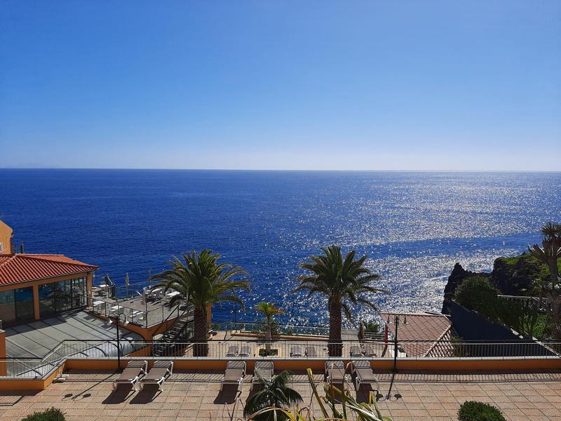 Widok na morze z tarasu z palmami i brukowanym obszarem pod niebieskim niebem.