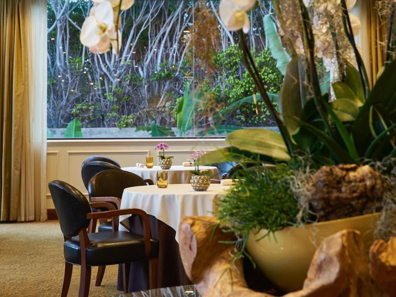 Accogliente area ristorante con tavolo e sedie vicino a una grande finestra con piante