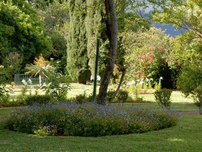 Grüner Park mit Blumenbeet, hohen Bäumen und parkähnlicher Bank im Hintergrund bei Sonnenschein.