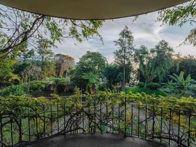 Grüne Landschaft mit verschiedenen Bäumen und Sträuchern, sichtbar von einer überdachten Veranda.