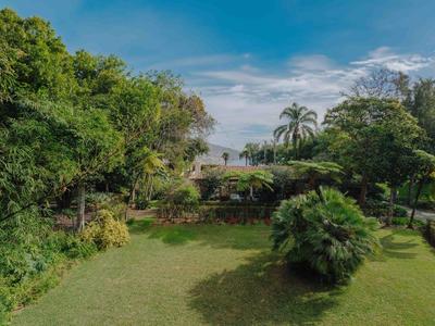 Grüner Garten mit dichter Vegetation, Palmen und blauem Himmel im Hintergrund.