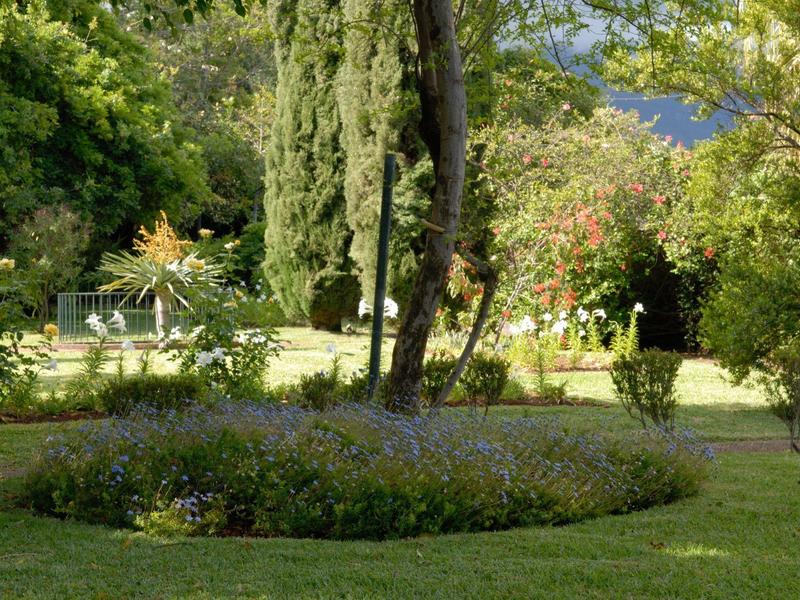 Grüner Park mit Blumenbeet, hohen Bäumen und parkähnlicher Bank im Hintergrund bei Sonnenschein.