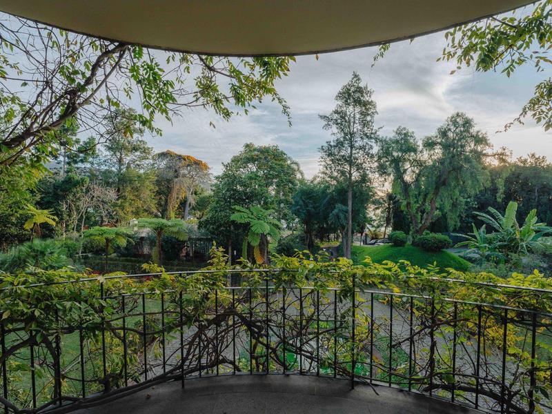 Grüne Landschaft mit verschiedenen Bäumen und Sträuchern, sichtbar von einer überdachten Veranda.