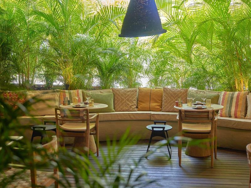 Acogedora sala con sofá tapizado, sillas de madera y mesas frente a un fondo de plantas verdes abundantes.