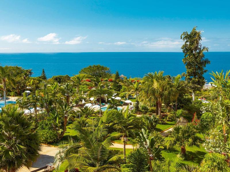 Jardín verde con palmeras y vista al mar azul bajo un cielo despejado.