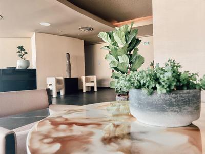 Moderner Innenraum mit Pflanzen in Töpfen auf Tisch, bequemen Stühlen und skulpturaler Dekoration.