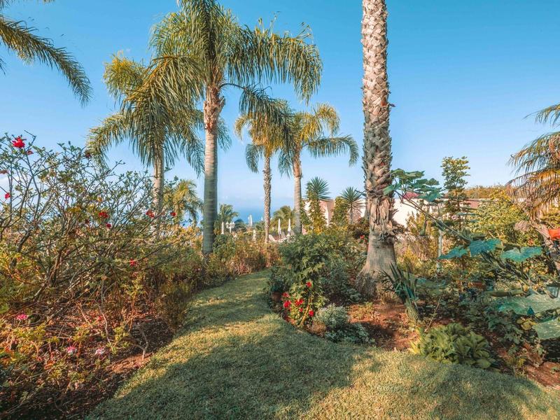 Giardino verde con palme e fiori colorati sotto un cielo azzurro.