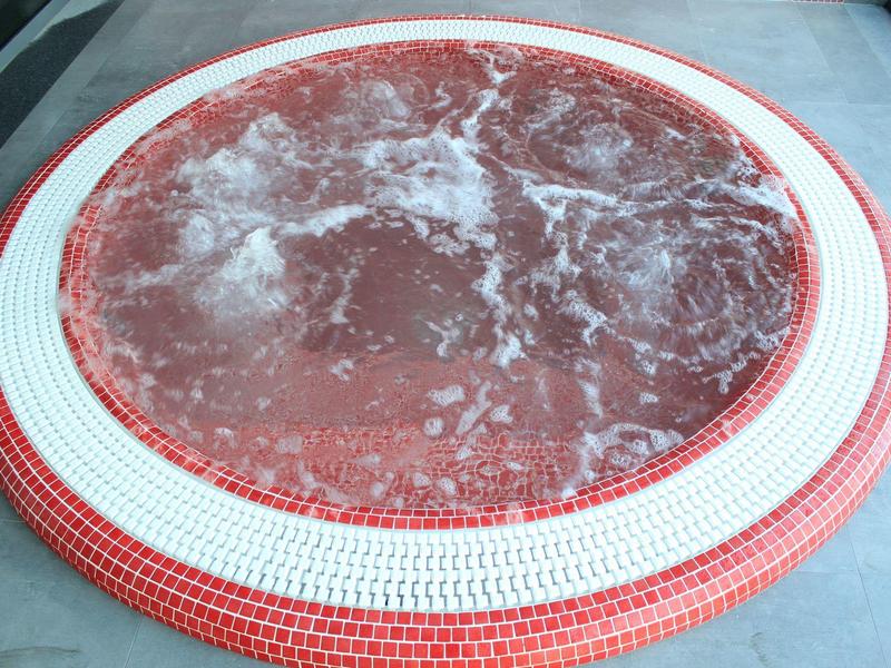 Round whirlpool with red and white mosaic tiles in a modern room.
