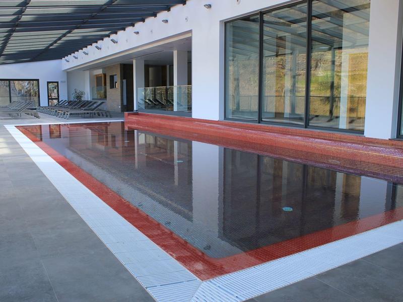 Modern pool with a narrow water basin next to a building with glass facade.