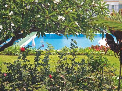 Uitzicht door groen naar een blauw zwembad in een tropische hoteltuin.