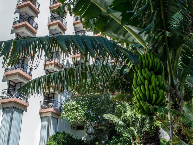 Uitzicht op een meer verdiepingen tellend hotelgebouw met tuin en bananenboom op de voorgrond.