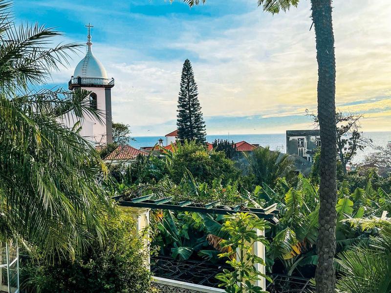 Grüne Gartenlandschaft mit Palmen, Kirche im Hintergrund und blauem Himmel mit Wolken.