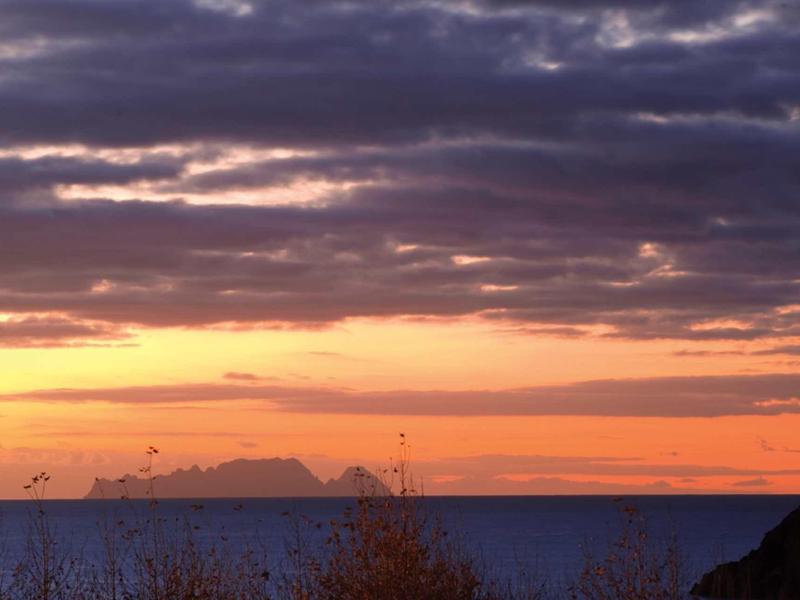 Tramonto sul mare calmo con cielo nuvoloso e sagome di rocce e piante.