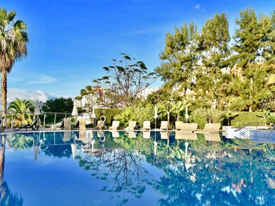 Ein ruhiger Pool spiegelt Palmen und Bäume unter klarem blauem Himmel wider.