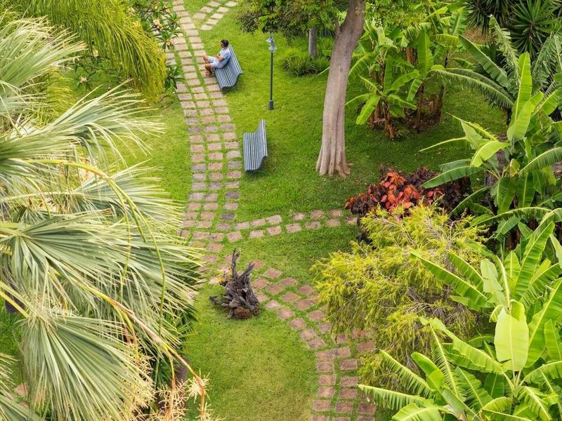 Grüner Garten mit gepflastertem Weg, Bänken, tropischen Pflanzen und dichtem Baumlaub.