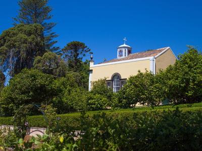 Dom z żółtą elewacją otoczony zielonymi drzewami pod jasnym niebieskim niebem