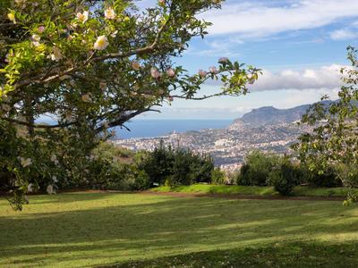 Zielony park z kwitnącymi drzewami i widokiem na miasto oraz góry w tle