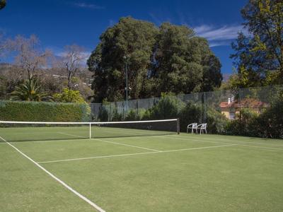 Een groene tennisbaan met net en banken, omgeven door bomen en een blauwe lucht.