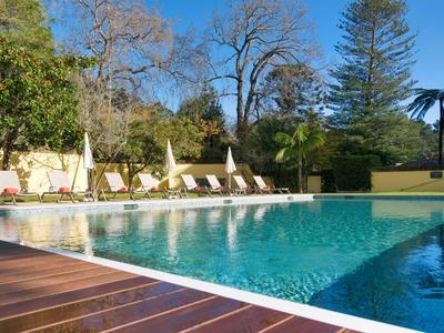 Buitenzwembad met parasols, ligstoelen en bomen op de achtergrond bij zonnig weer.