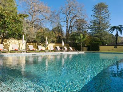 Przejrzysty basen na zewnątrz z leżakami i parasolami, otoczony drzewami i błękitnym niebem.