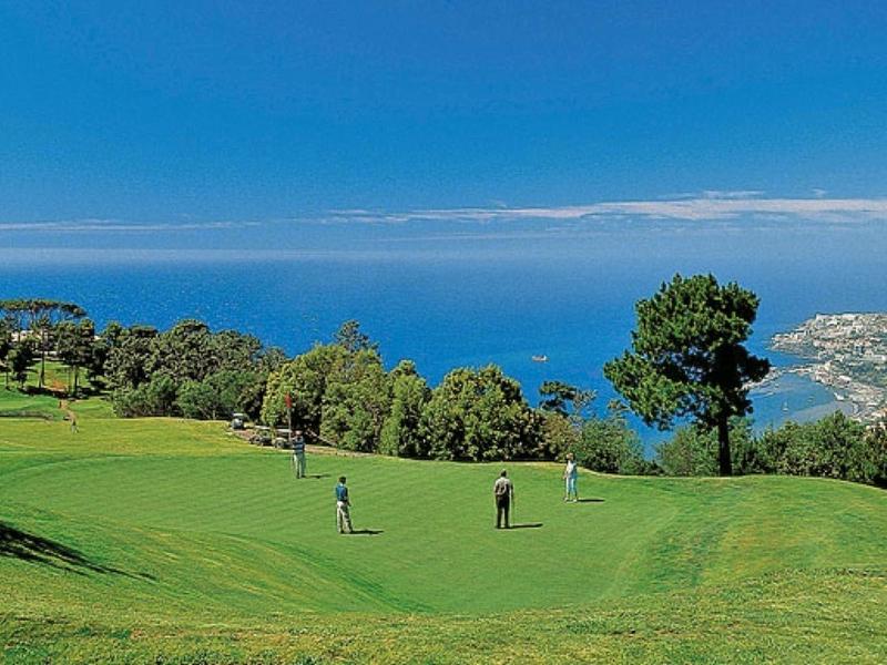 Zielone pole golfowe z graczami i widokiem na morze pod czystym niebem.