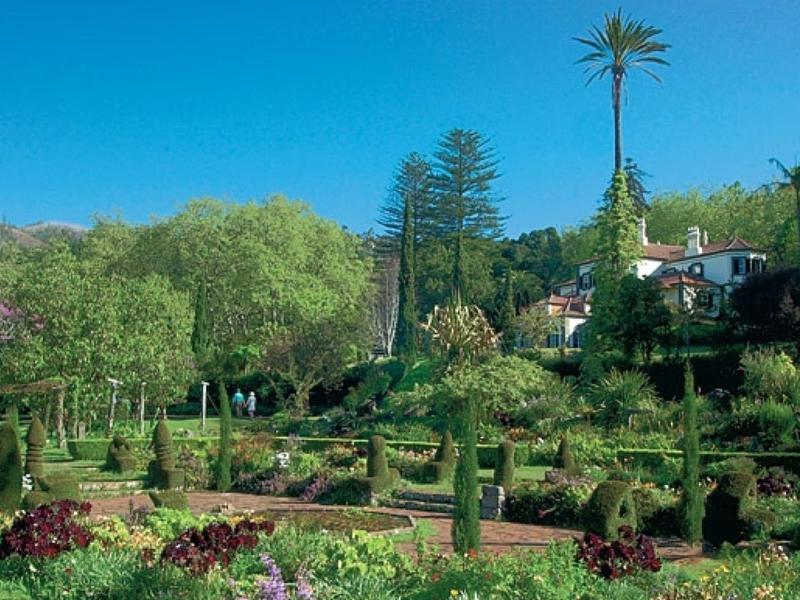 Zielony ogród z różnymi krzewami, drzewami i willą w tle.