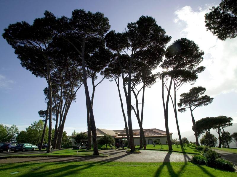 Wysokie drzewa rzucają długie cienie na trawnik przed budynkiem o zachodzie słońca.